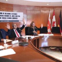 Comisión de Relaciones Exteriores condena actos represivos y violencia de ICE contra mexicanos en Estados Unidos
