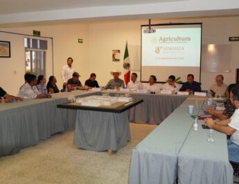 Gobiernos de México y Chiapas acuerdan operación segura de planta contra el gusano barrenador